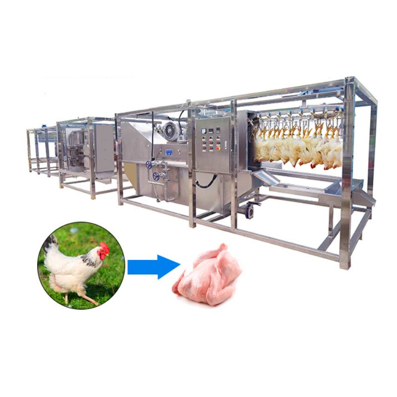 Poulet JabaruBuur